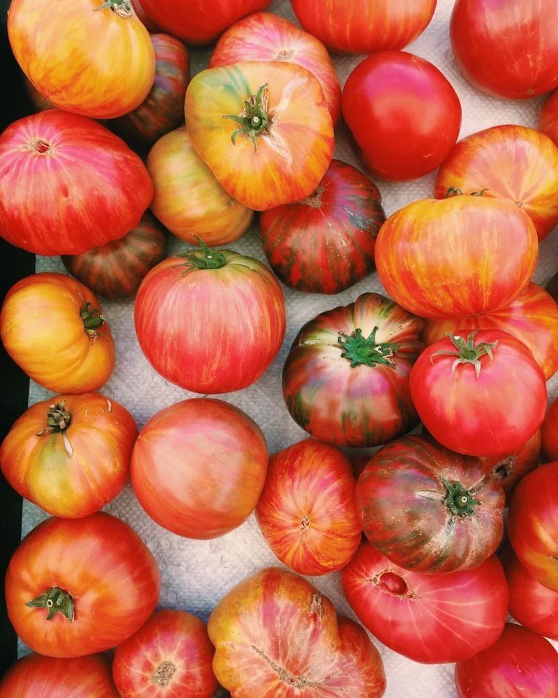 Tomatoes