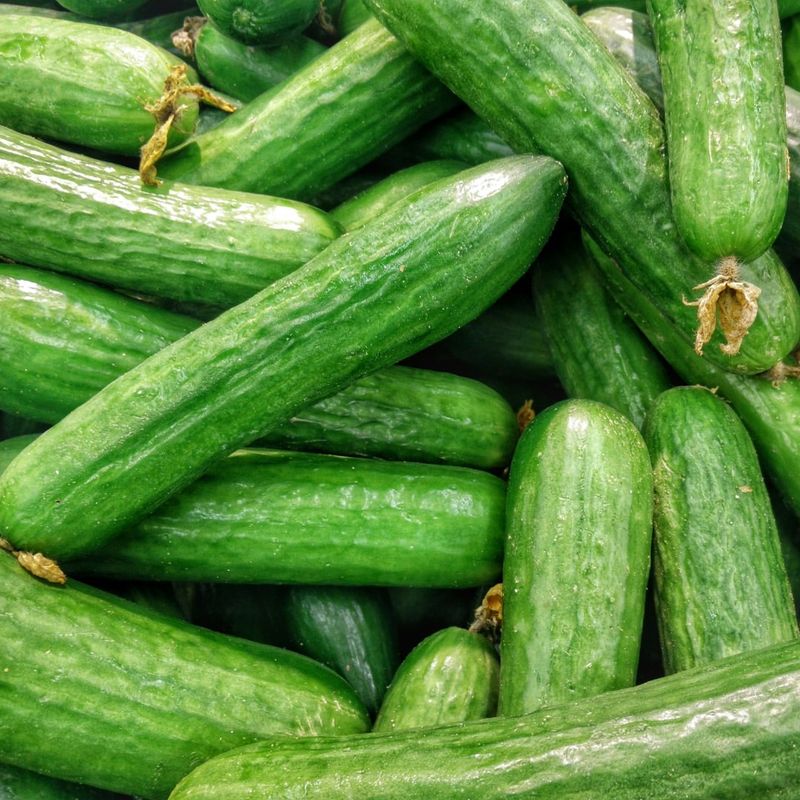Cucumber