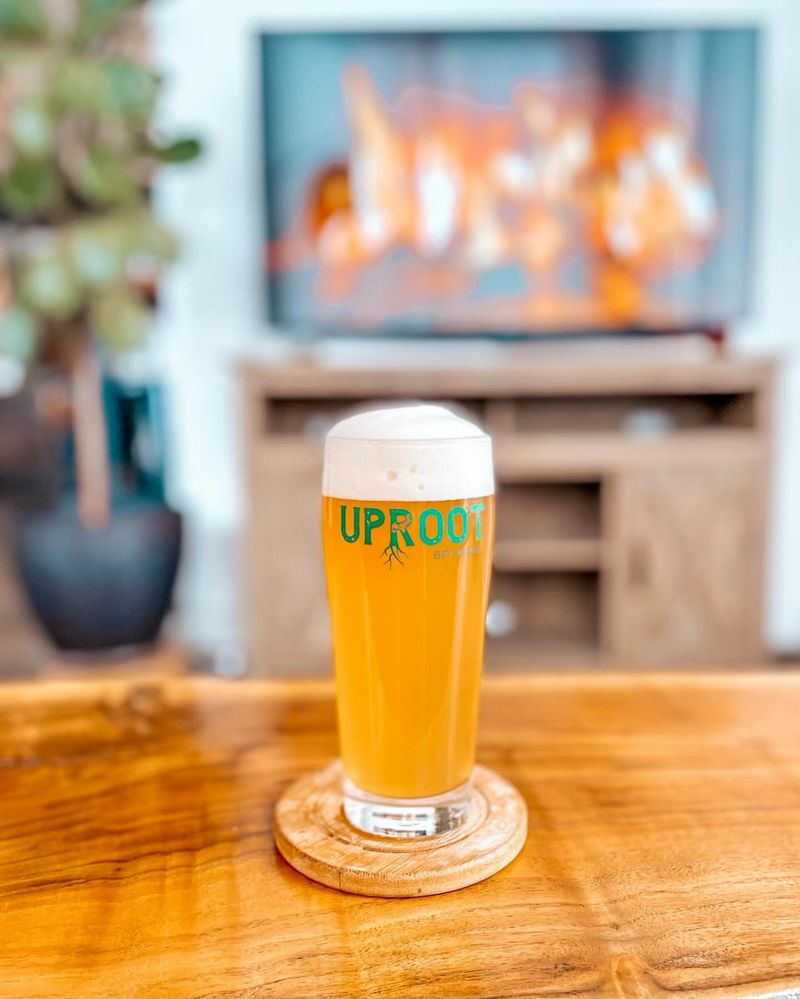 Pale Ale