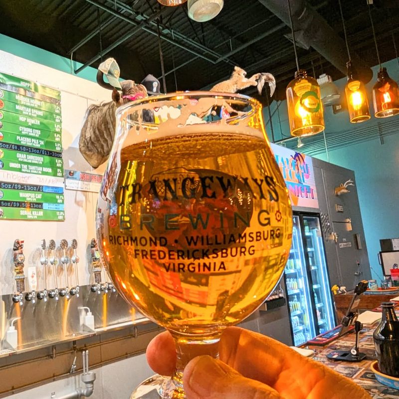 Pilsner