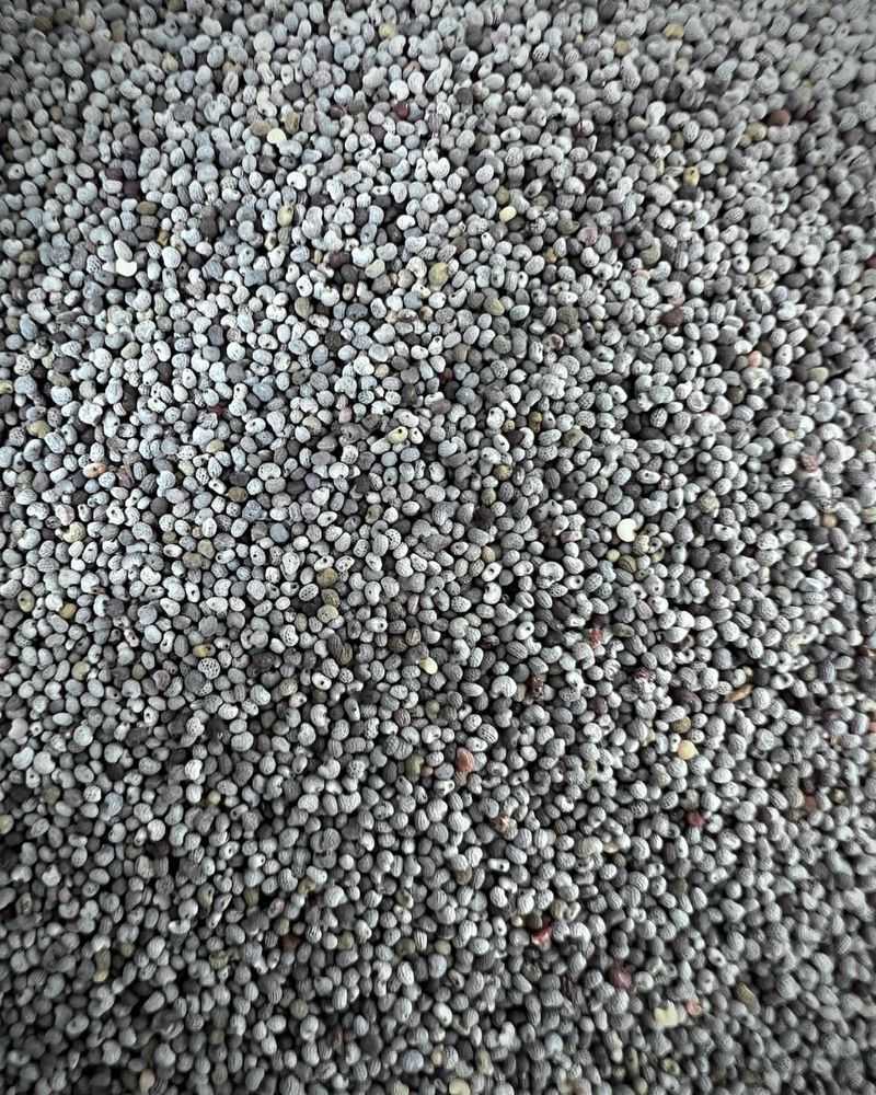 Poppy Seeds