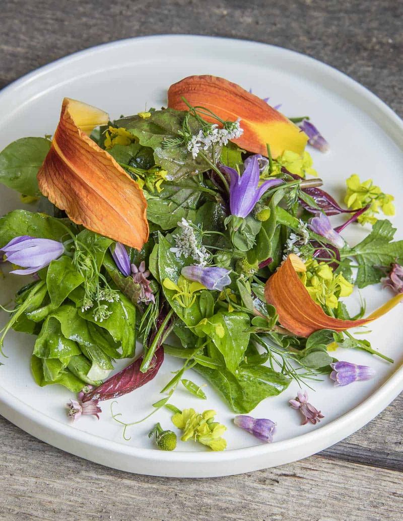 Prairie Wildflower Salad