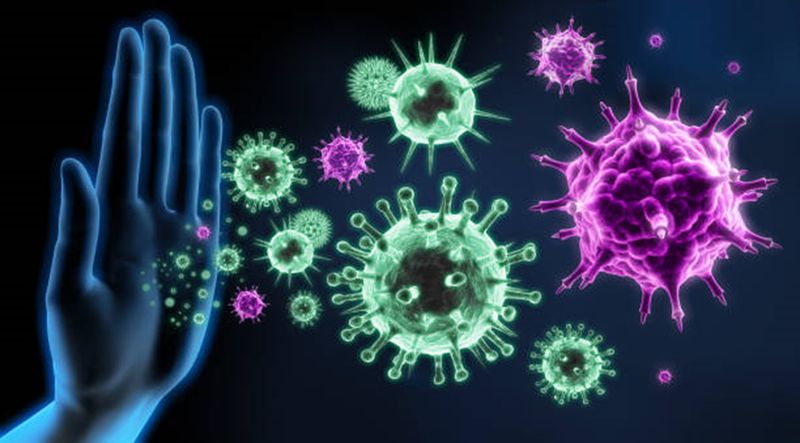 Stronger Immune System