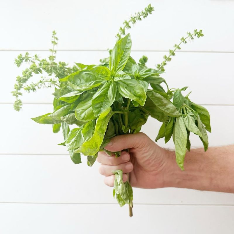 Reduces Inflammation