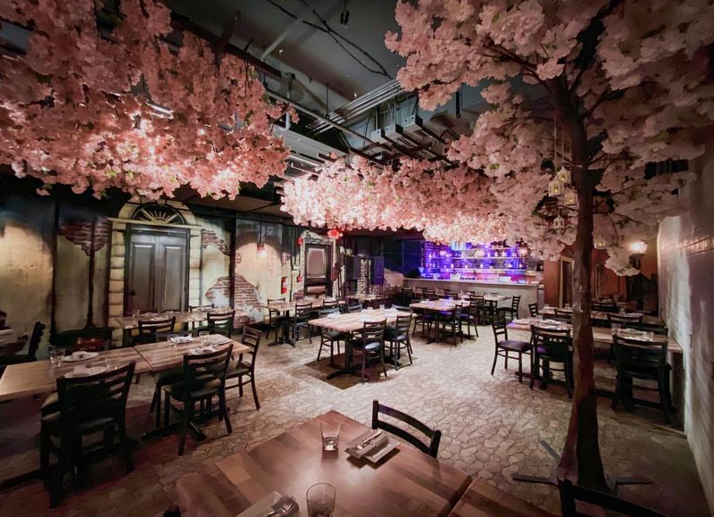 Sakura Blossom