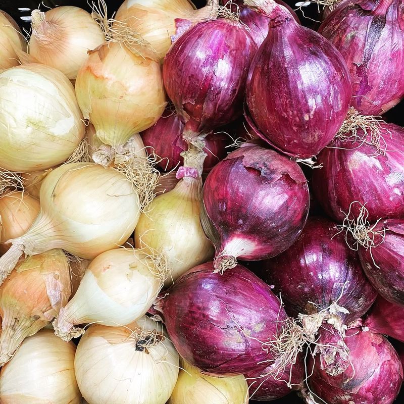 Onions