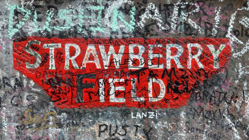 Strawberry Fields