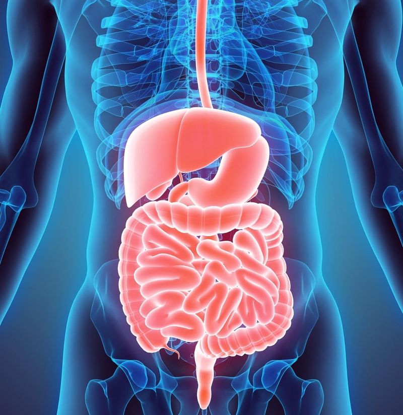 Improved Digestion