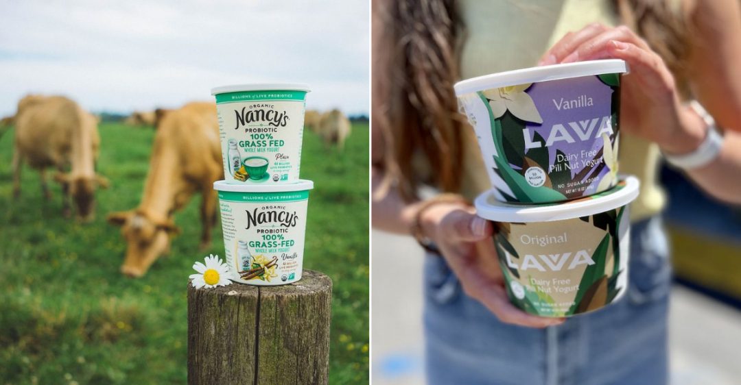The 20 Healthiest Yogurt Brands, Recommended By Nutrition Experts