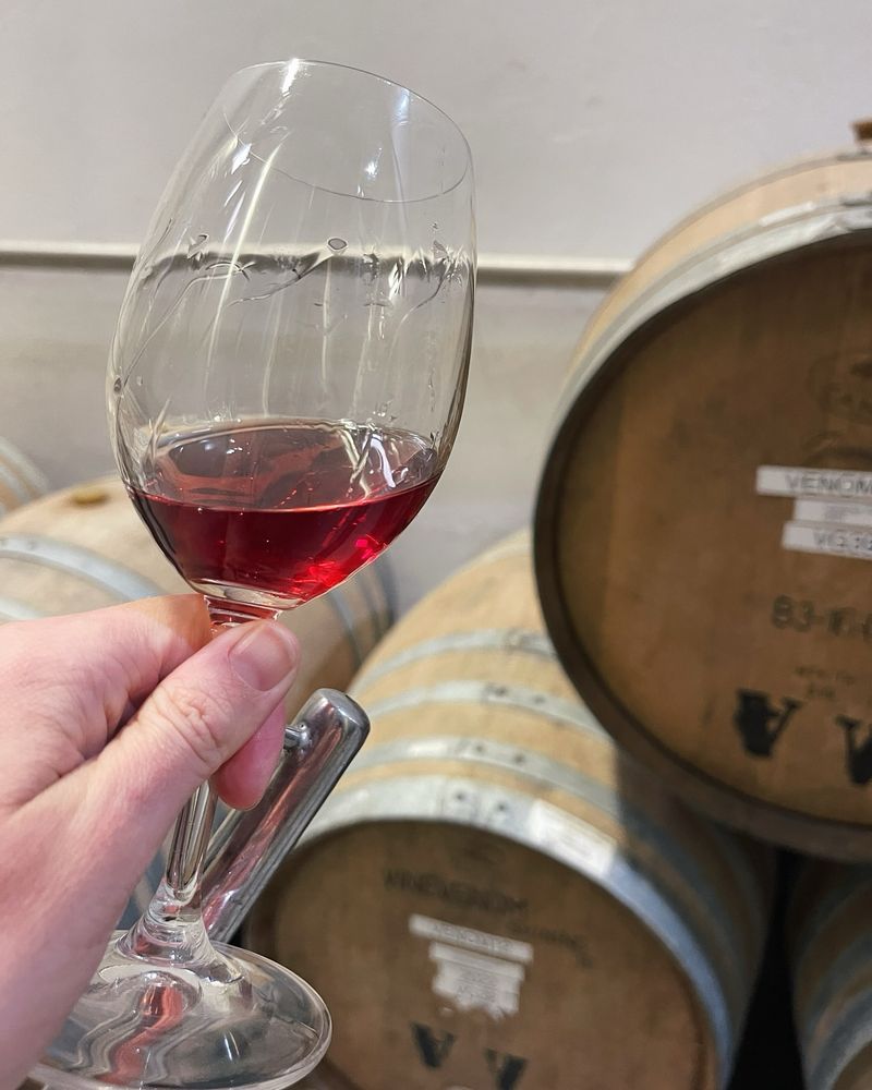 The Allure of Aged Wine