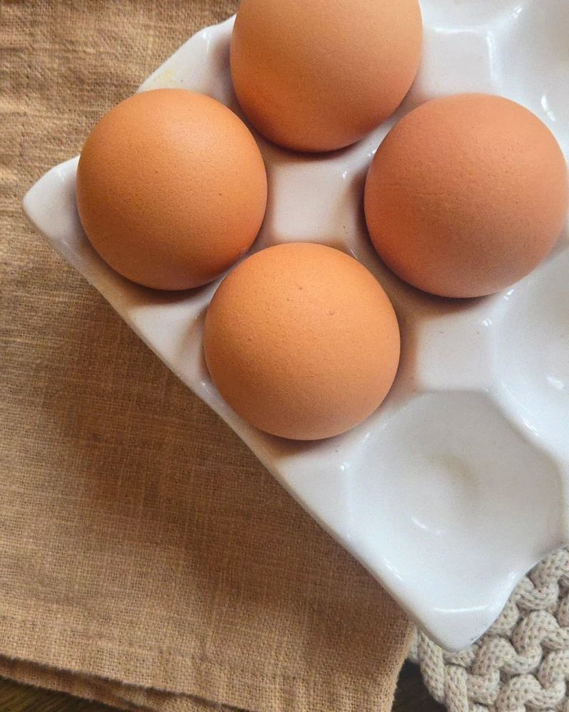The Enigma of Eggshell Color