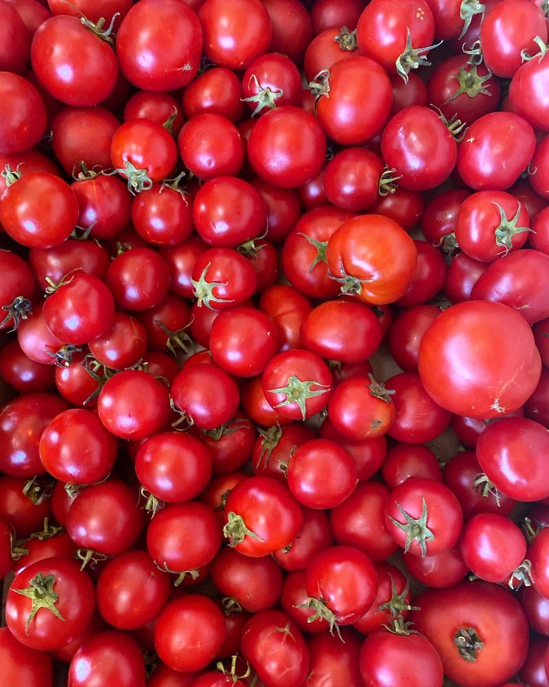 Tomatoes