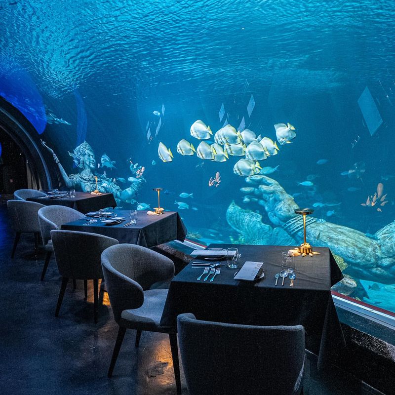 Underwater Wonderland