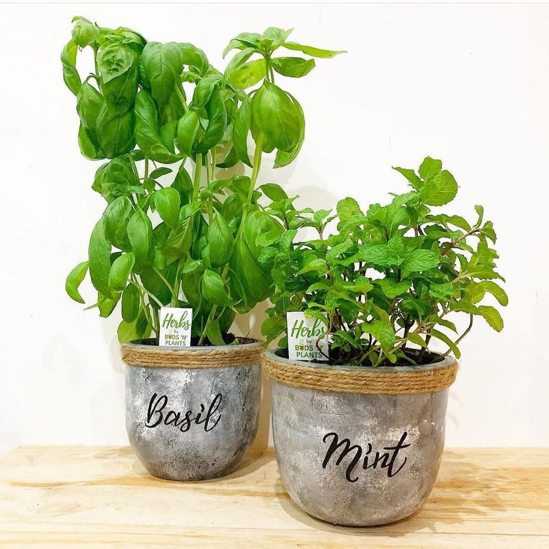 Use Herb Stems in Stocks