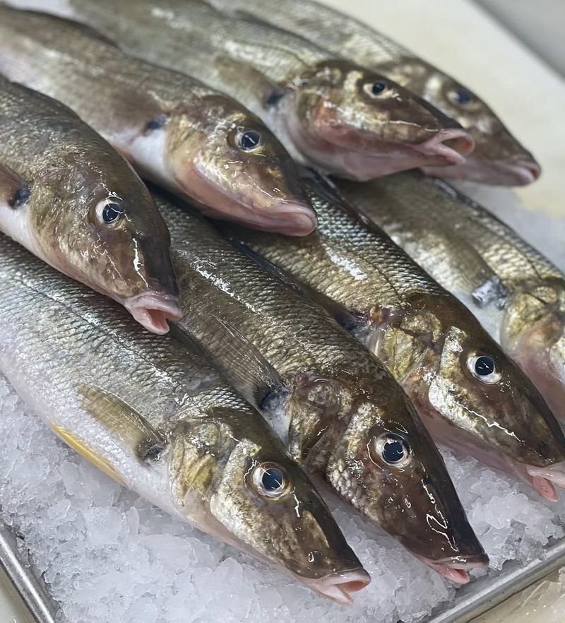Whiting