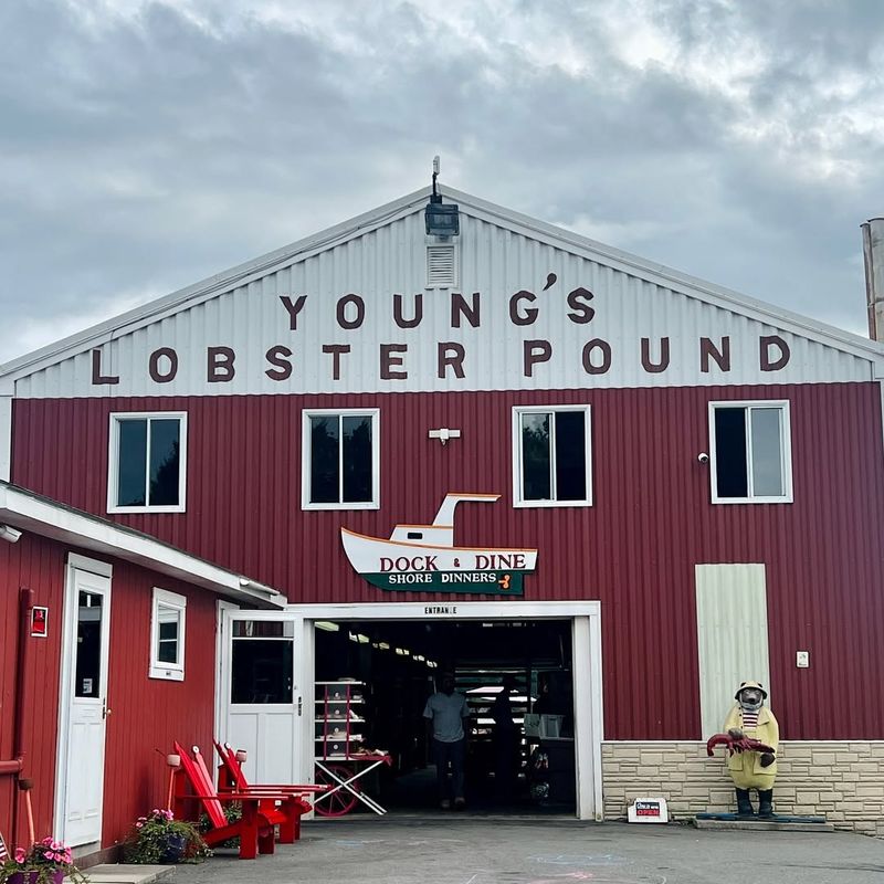 Young’s Lobster Pound