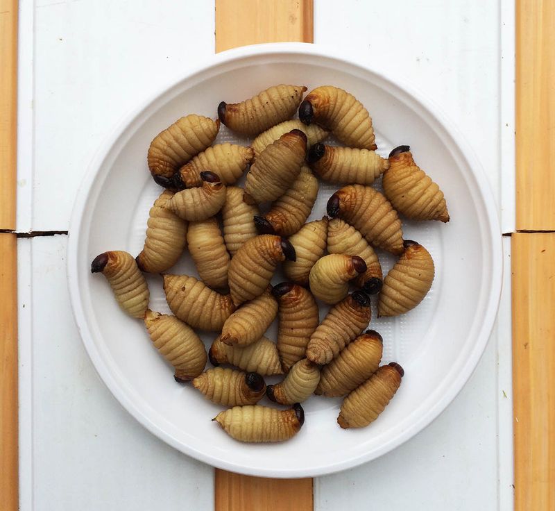 Zazamushi (Aquatic Insect Larvae)