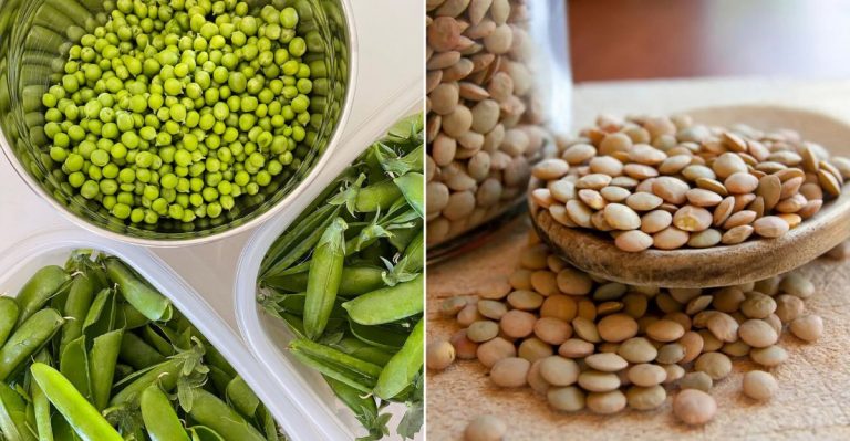 10 Protein-Packed Meat-Free Foods + 10 More Full Of Protein
