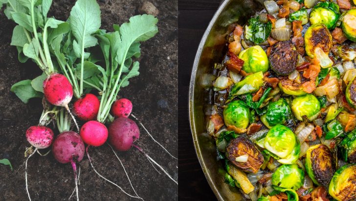 12 Vegetables You Should Eat Daily And 12 You’ll Survive Without