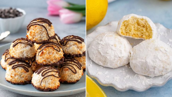 17 Coconut Cookie Recipe And 3 More To Reignite Your Love For Baking