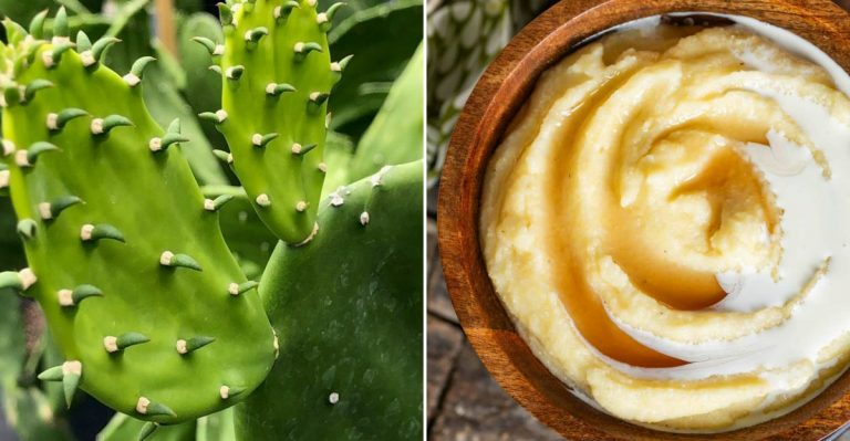 strange survival foods