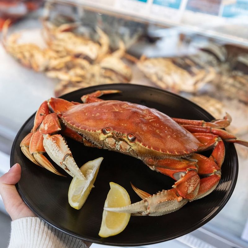 Dungeness Crab