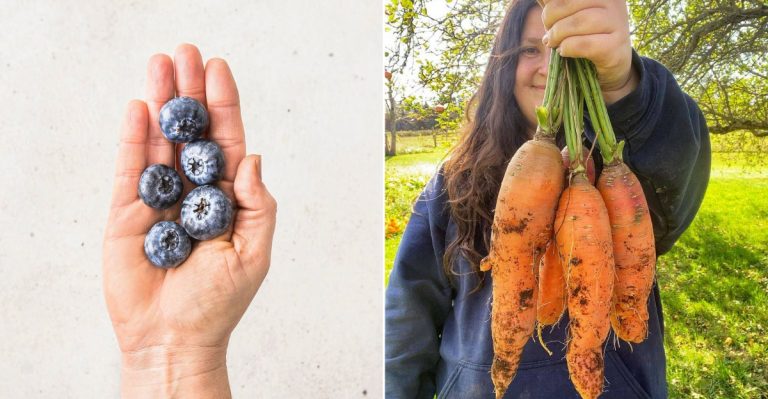 20+5 Foods To Keep You Strong And Healthy After 50