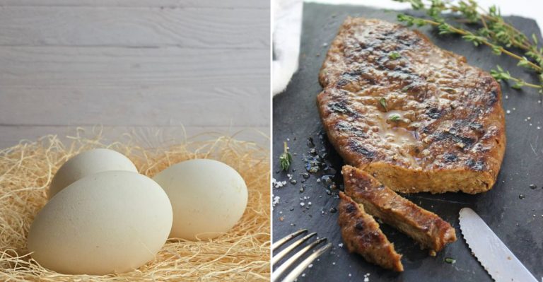 protein-rich foods