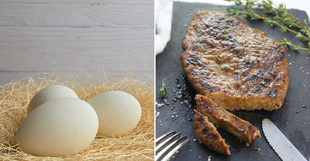 protein-rich foods