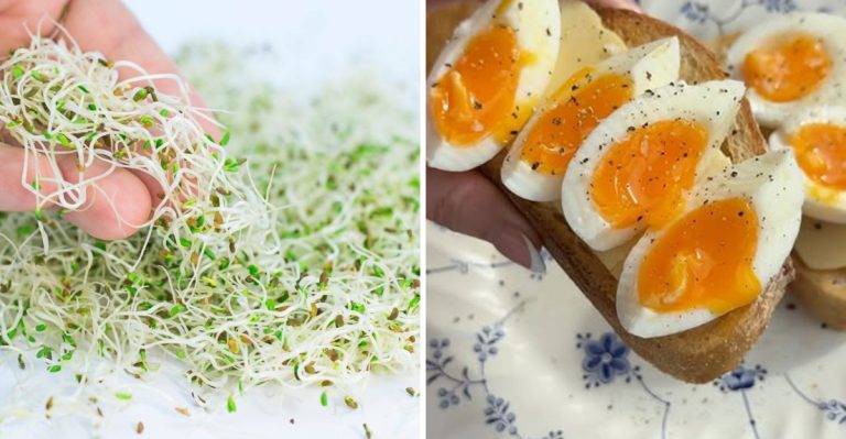 25 Common Foods That Food Safety Experts Never Eat