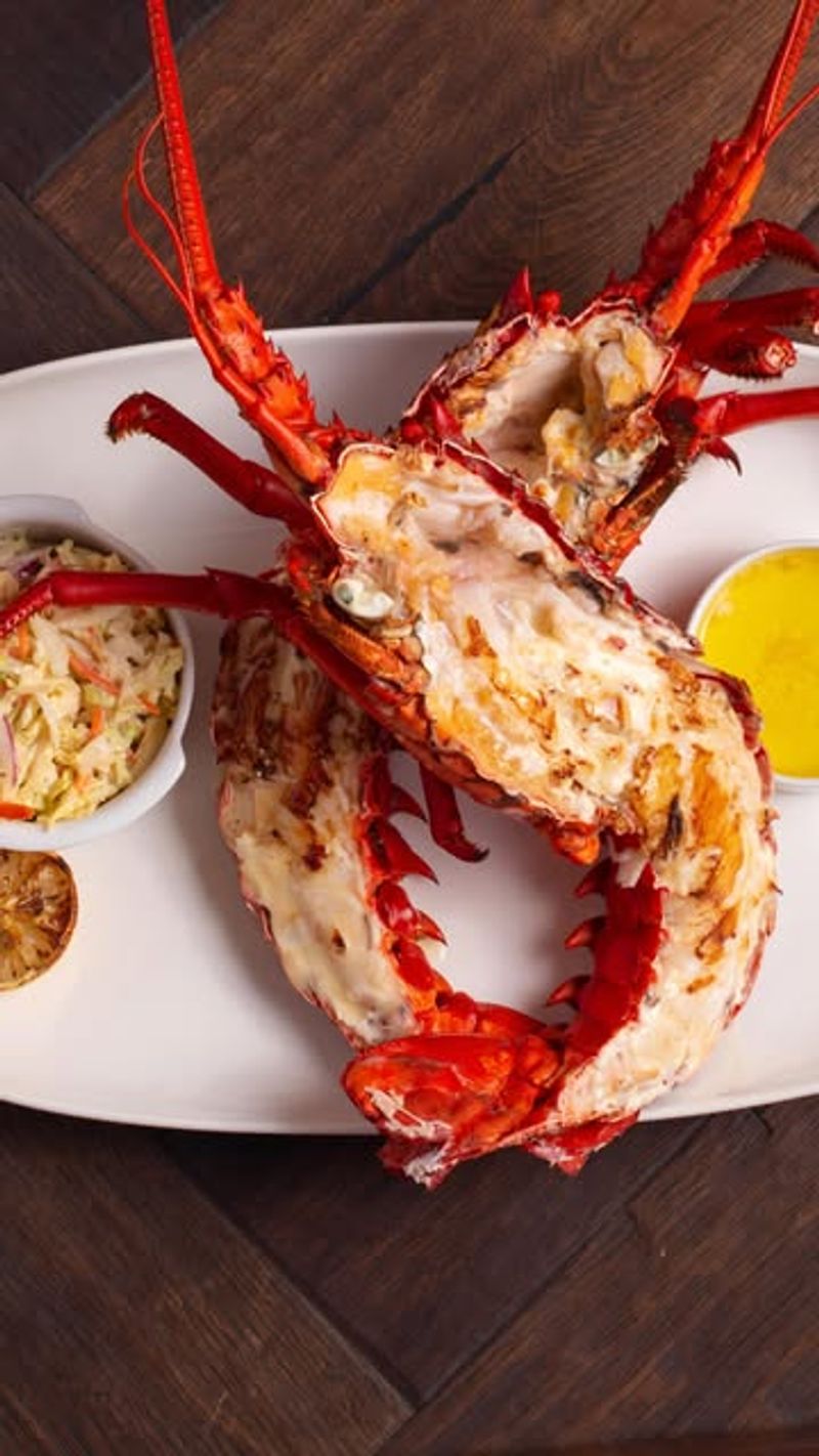 Lobster