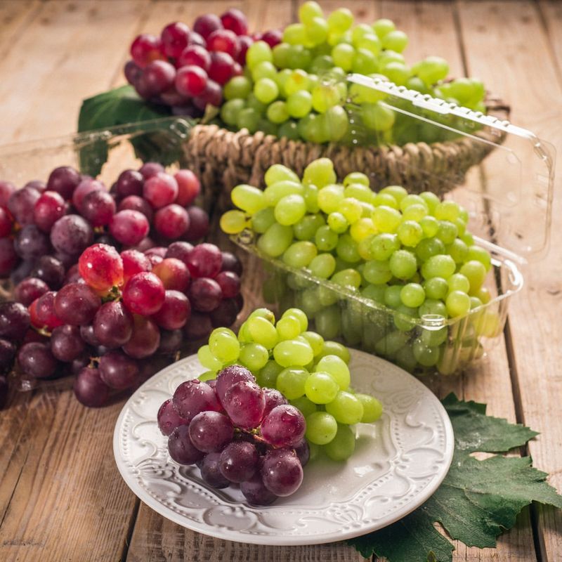 Packed With Antioxidants