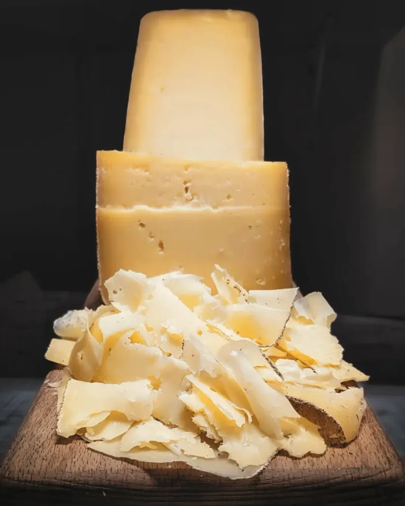 Cheese