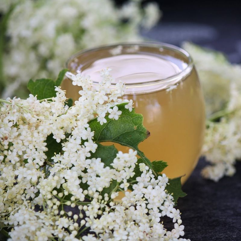 Elderflower