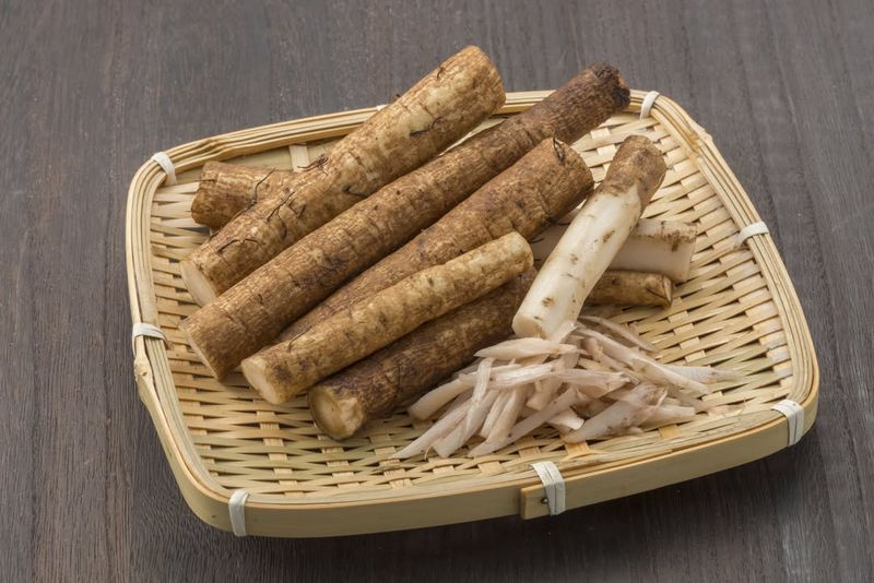 Burdock Root