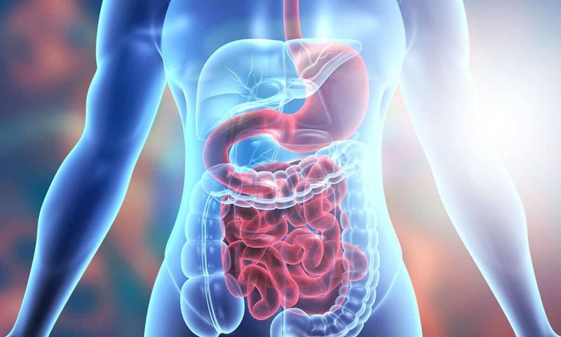 Aids Digestion