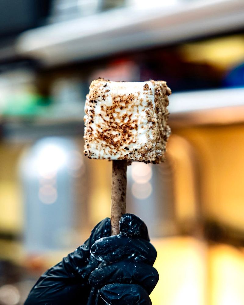 Toasted Marshmallows
