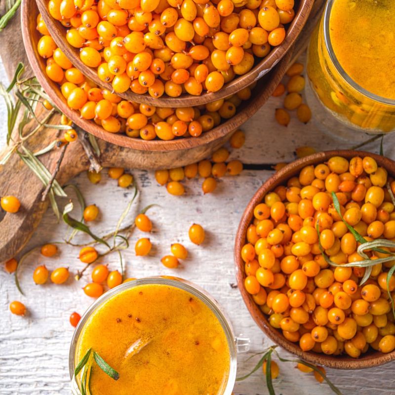 Sea Buckthorn