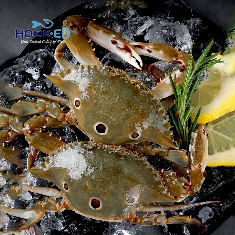Three-Spotted Crab