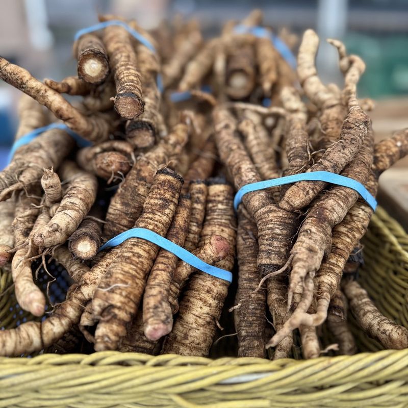 Burdock Root