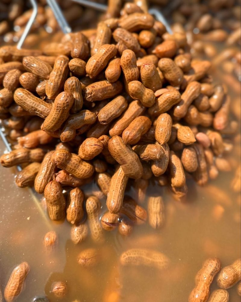 Georgia – Boiled Peanuts