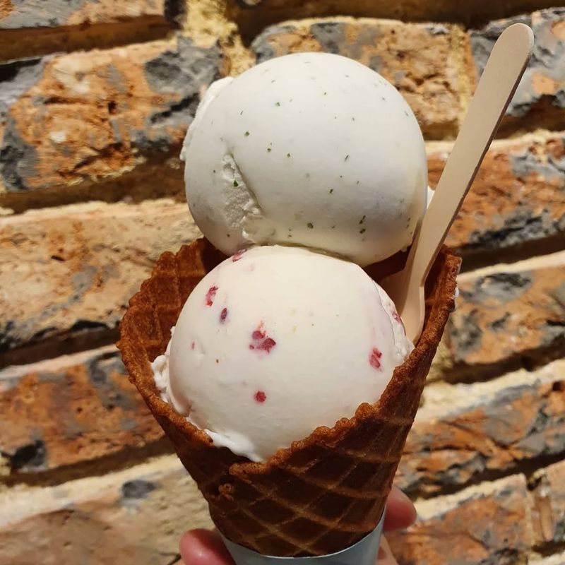 Soursop Ice Cream Sandwich