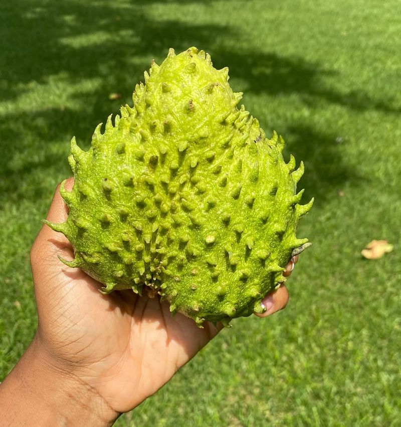Soursop