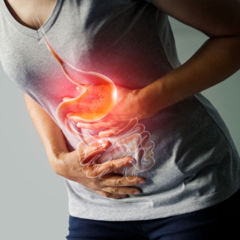 Supports Healthy Digestion