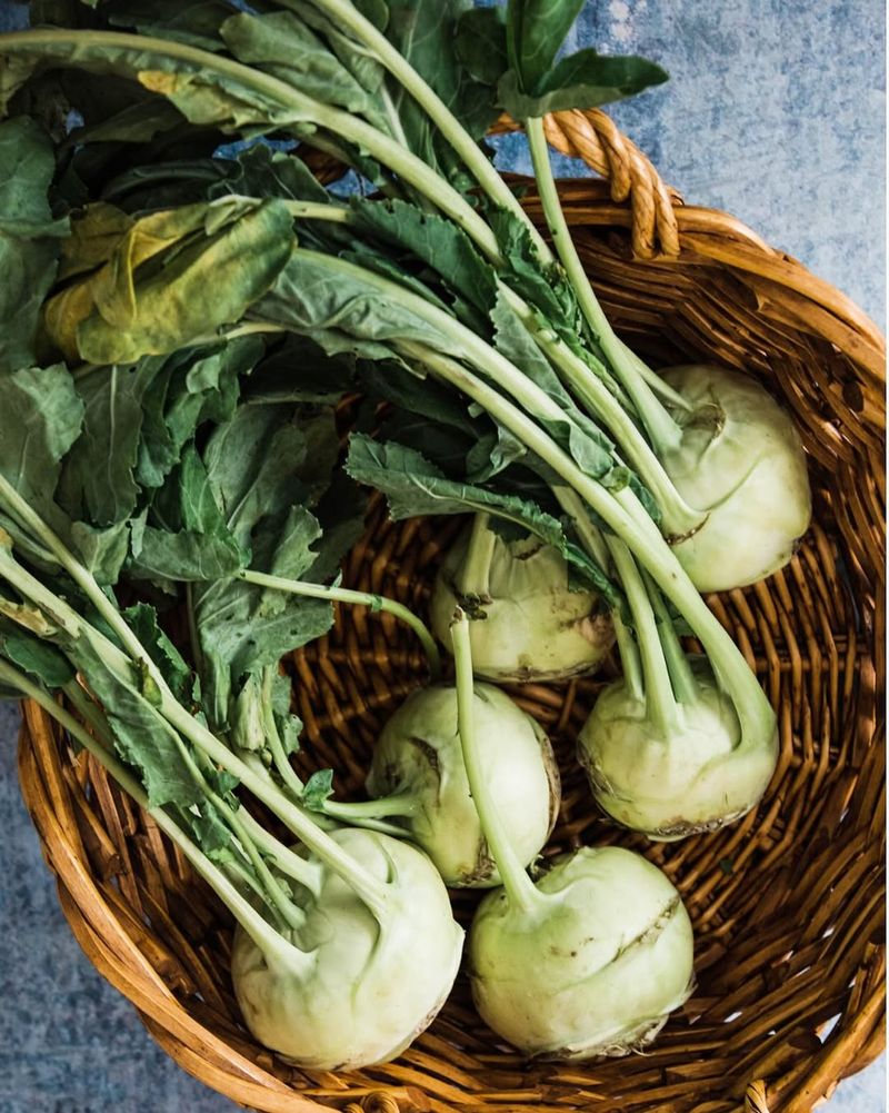 Kohlrabi