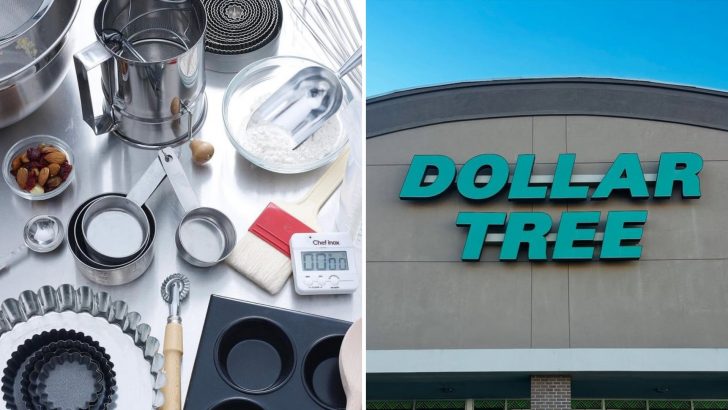 I’m A Chef: Here Are 7 Things I Love To Buy From Dollar Tree Every Month