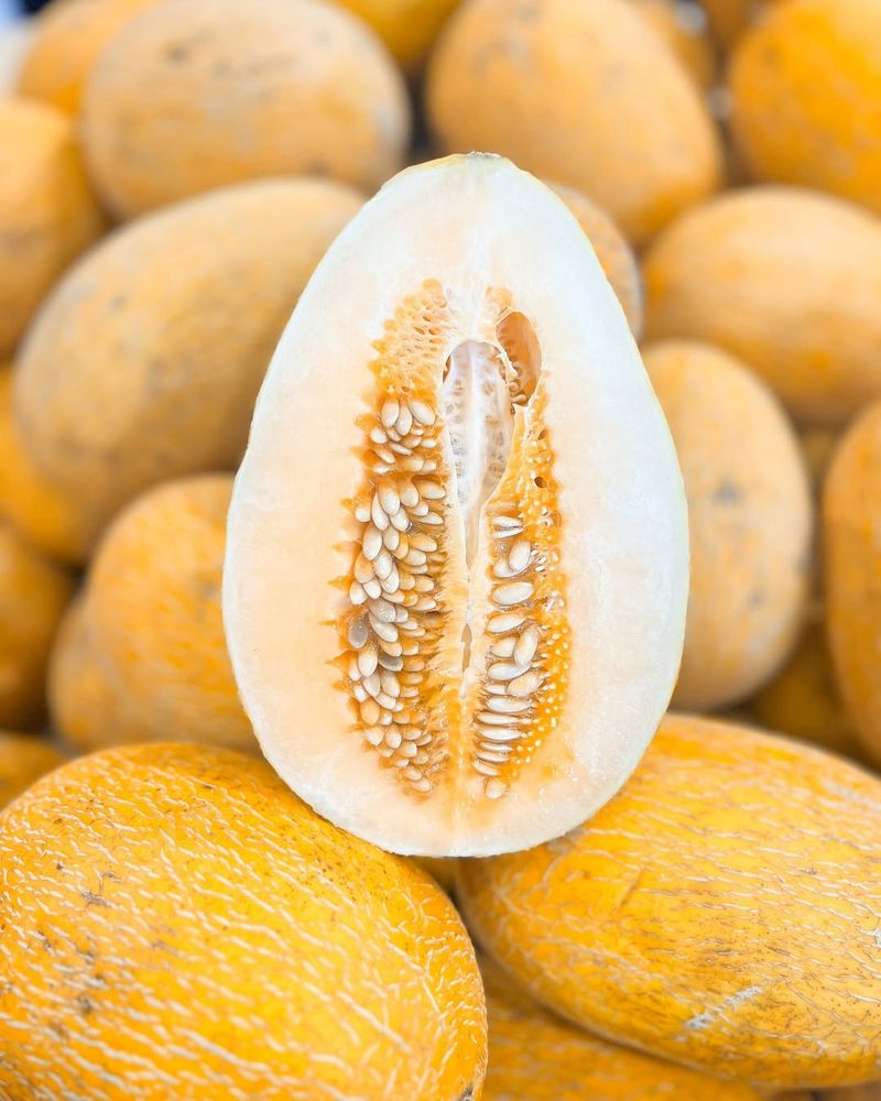 Melon