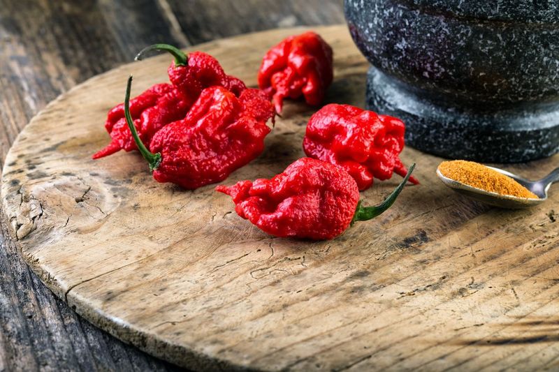 Gibraltar (Gibt) Chili