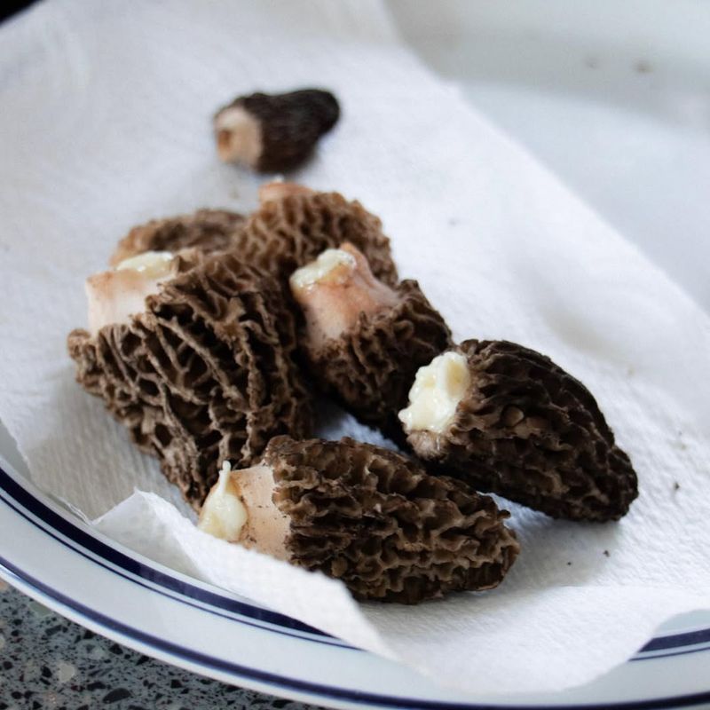 Fried Morel Mushrooms