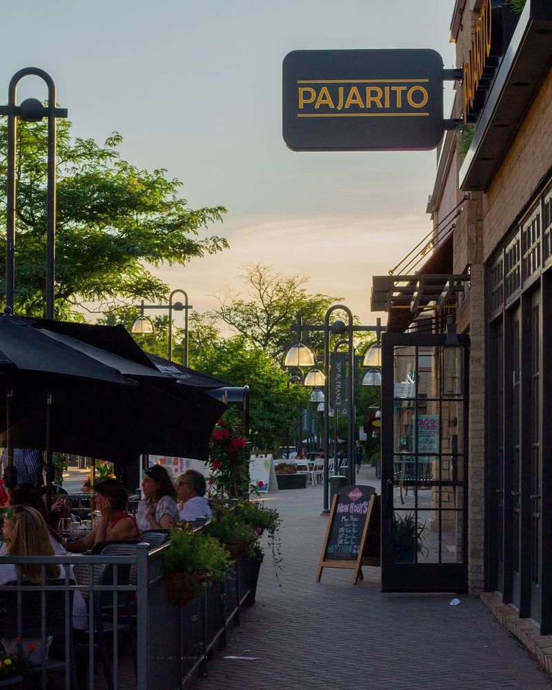 Minnesota - Pajarito